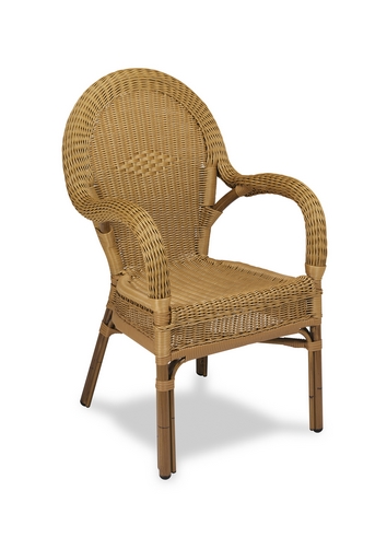 Imagen Sillón Armazón tubo aluminio plastificado. Asiento, respaldo     