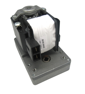 Imagen Motor/Reductor asador 12 RPM. 38 W. 230 V