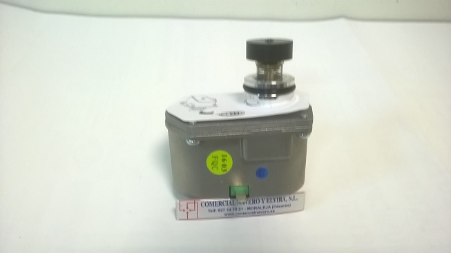 Imagen Servo motor ESV-201LPG. CA. VAILLANT